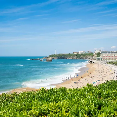 Victoria Surf-14 By Interhome 公寓 *
